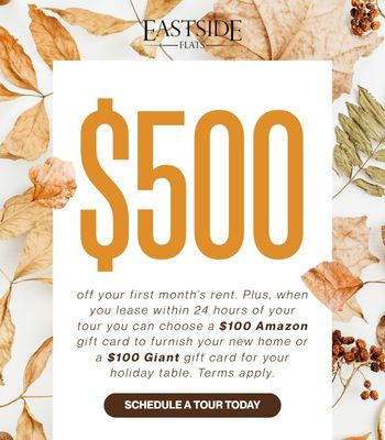 Special Offer